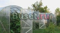 Теплицы для загородного дома и дачи Екатеринбург