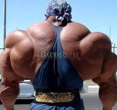 Мебель Москва