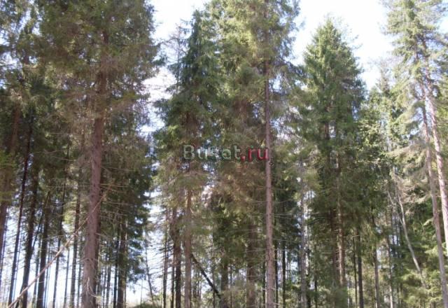 Агалатово+4 км,днп Бриллиант,уч 10 или 20 сот Санкт-Петербург