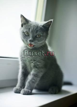 Свадебный фотограф, Портретное фото Москва