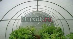 Теплицы и Парники в магазинах Тёплый Дом Санкт-Петербург