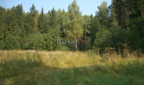 Дмитровское ш. 39км от МКАД. Земельный участок 14 сот Москва