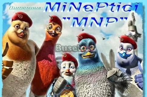 Питомник"MNP"- разведение, продажа попугаев Москва