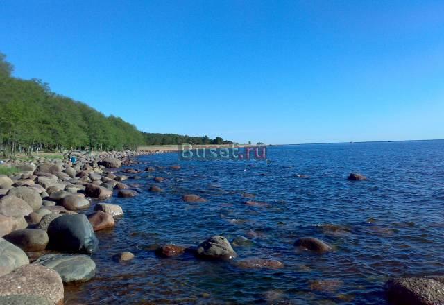 Участок Выборский р-н, п. Озерки Санкт-Петербург