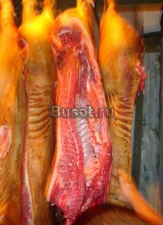 Мясо свинины в полутушах и свиные субпродукты Белгород