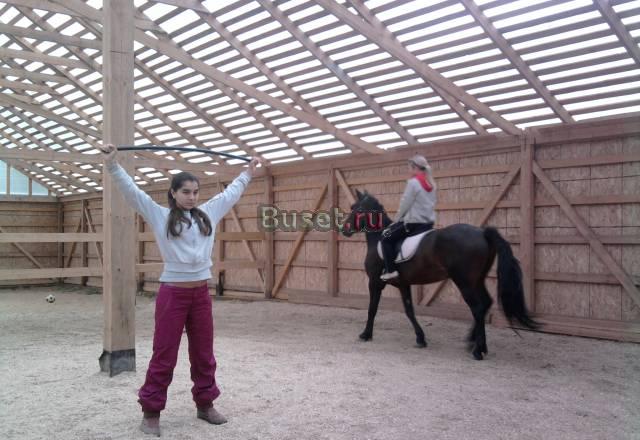 Верховая езда , конные прогулки,иппотерапия Москва