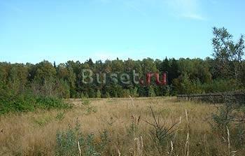 Земельный участок 8 соток в СНТ у д. Чичково Наро-Фоминск