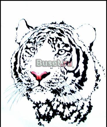 Картина "Тигр" Москва