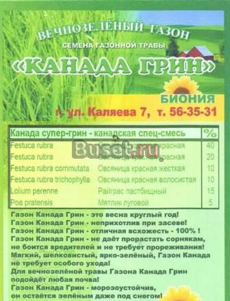 Газонная трава Канада Грин оптом Пенза
