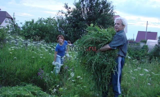 Земельный участок 6,5 соток 17км от С-Пб Санкт-Петербург