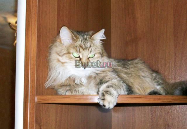 Приглашаю на вязку Нижний Новгород