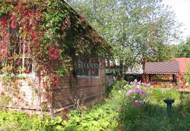 Дом деревне,100 км. Горьковке, на берегу озера Петушки