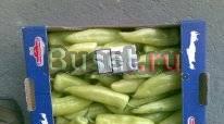 Овощи и фрукты из Польши оптом Москва