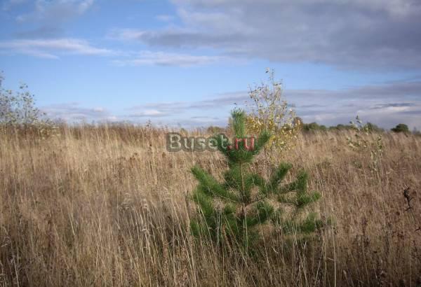 Земельный участок  5,96Га в Ярославской обл Москва