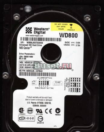 Винчестер IDE WD800 80ГБ Санкт-Петербург