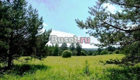 Продаю 80 соток.до реки Волга 400 метров Мышкин