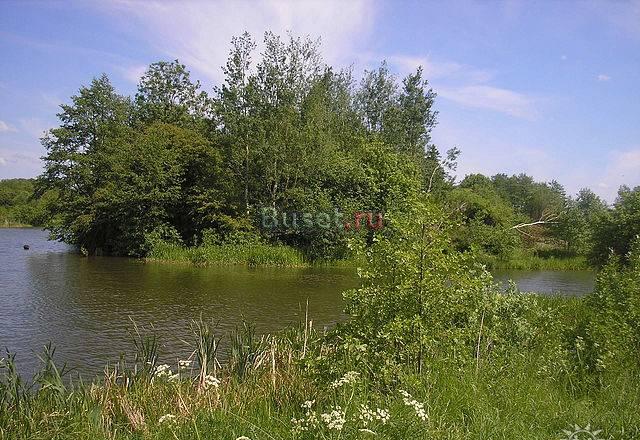 Продам участок Первая линия о.Селигер Москва