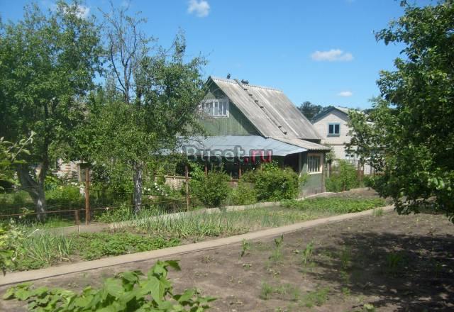 Чертовицк, дача Воронеж