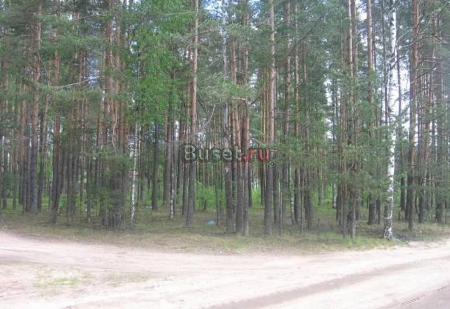 Выборгский р-н, Кирилловское пос Санкт-Петербург