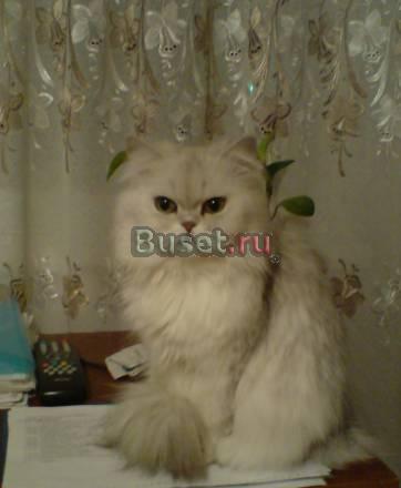 Для вязки Омск