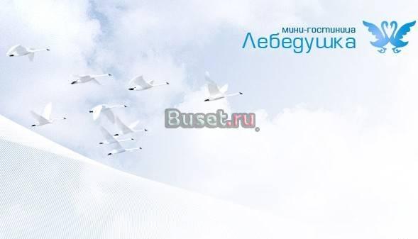 Сеть мини-гостиниц "Лебёдушка" Санкт-Петербург