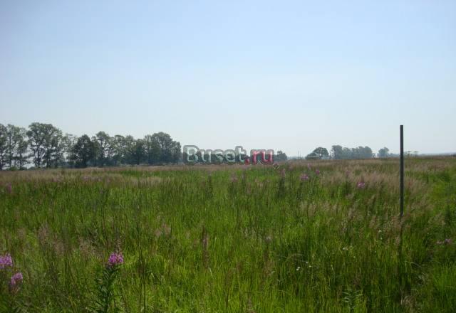 Продается участок в серпуховском р-не, п.Липицы Серпухов