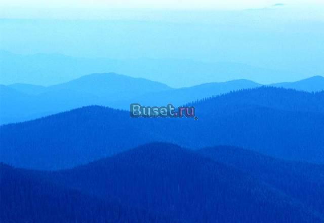 Работы по философии, истории, социологии на заказ Москва