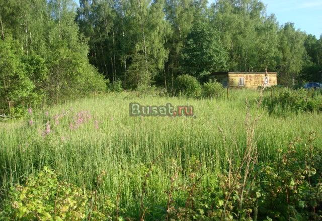 Продается участок в чеховском р-не, п.Манушкино Чехов