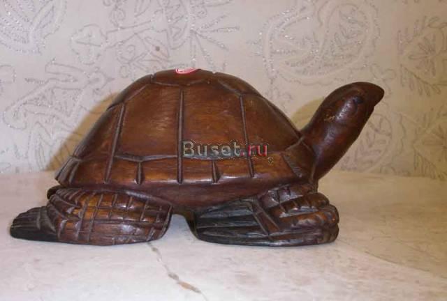 Черепаха Москва