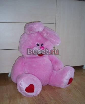 Розовый заяц Саратов