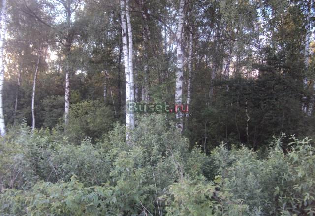 Продам 10  соток СНТ Балабаново