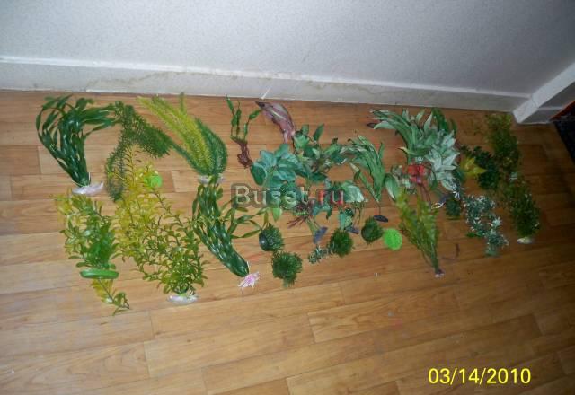 Искусственные растения оптом28ШТ Москва