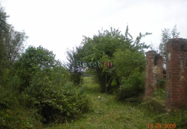 Участок 25 сот. д. Ветки Кингисепп