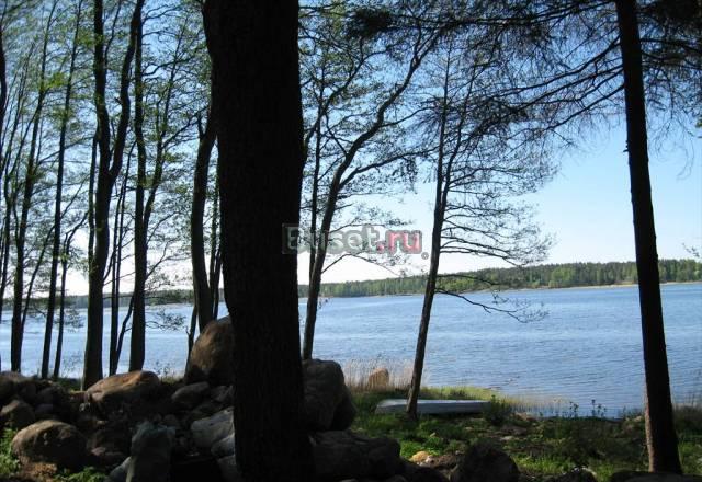 Участок в пос. Балтиец Выборг