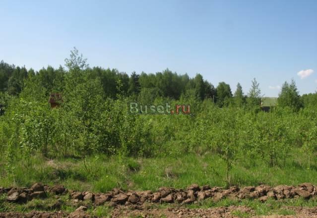 Участок в деревне Александров