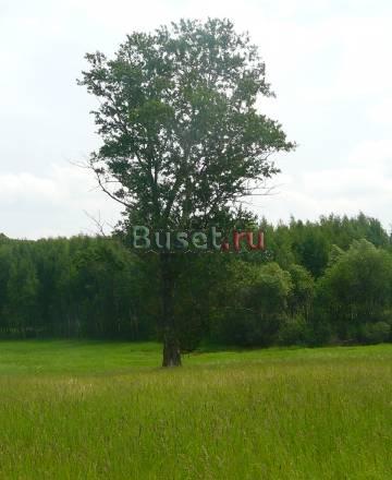 Участок 6 соток 10км от МКАД  по Егорьевскому ш Москва