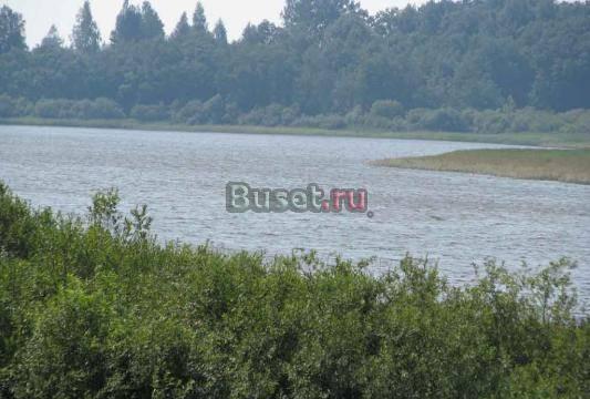 100 га земли берег озера Псков
