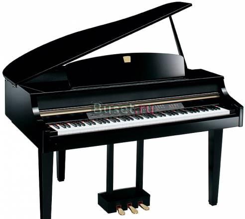 Рояли Москва