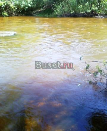 Участок распродажа 3т.р сотка Мурманск