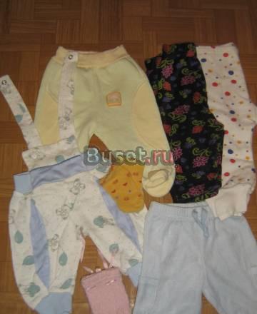 Брючки шорты Санкт-Петербург