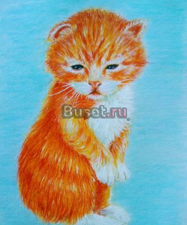 Портреты животных по фото Москва