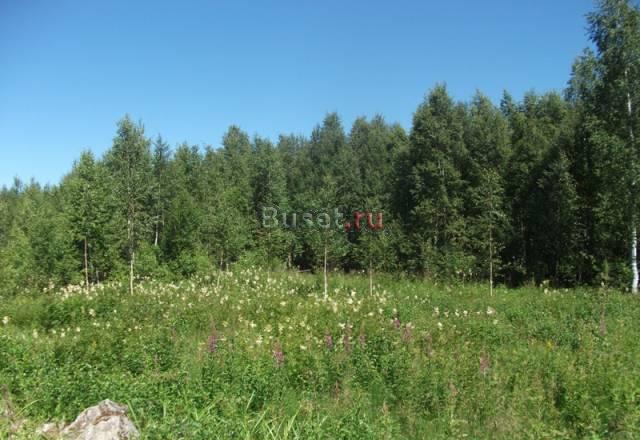 Участок в Воейково Всеволожск