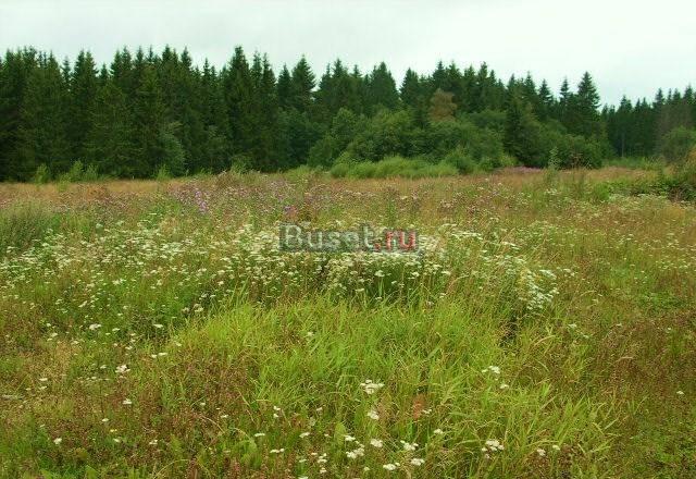 Участок 50 соток в ччерте поселка городского типа Волосово