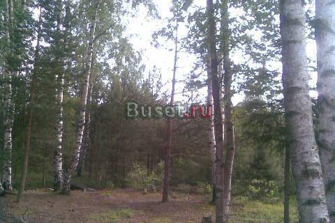 Всеволожск + 6 км Всеволожск