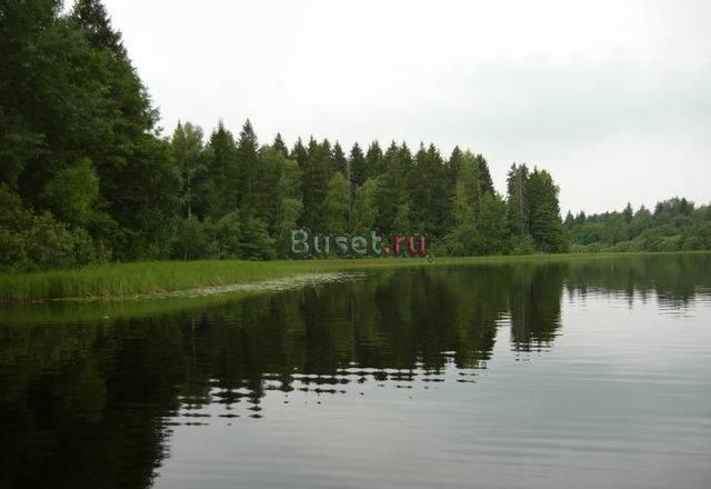 Участок 15 соток 15км от Вышнего Волочка на озере Мурманск