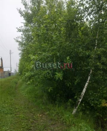 Красивый участок 15 соток заросший Заокский