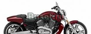 2010 Harley-Davidson vrsc мышцы V-Rod Москва
