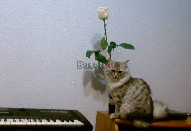 Визажист,косметолог-эстетист Москва