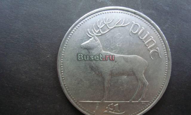 1 фунт Новосибирск