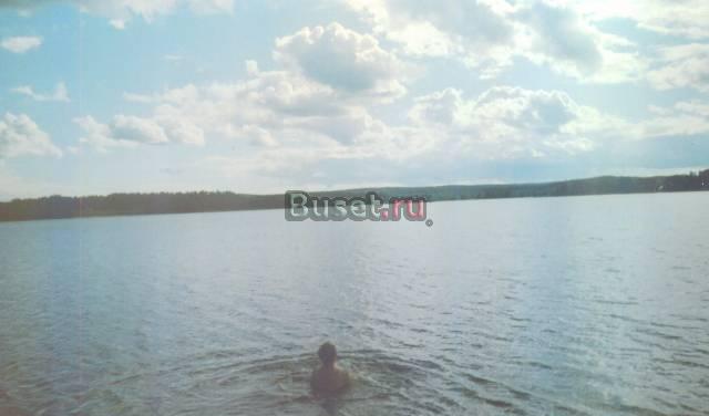 Ижс на берегу оз.  Борисово 1линия Сосново